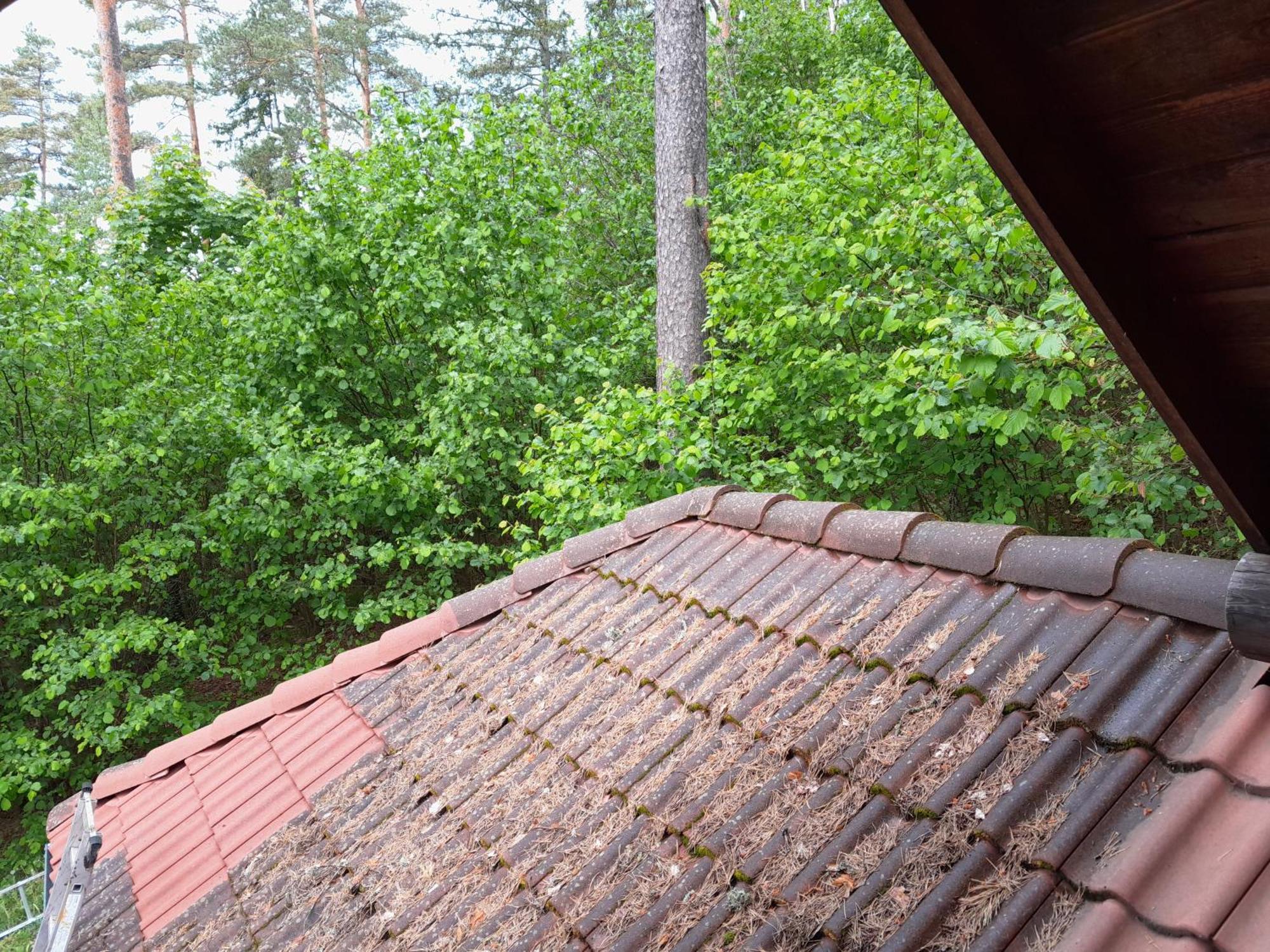 Kaebi Holiday Homes Ainja Номер фото